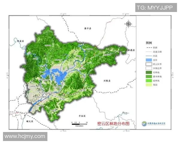 南京排球队区域防守创新探索与战术变革的深度分析
