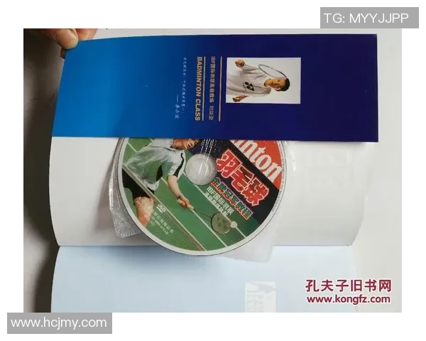 深入分析成都羽毛球队区域防守战术的优势与应用策略